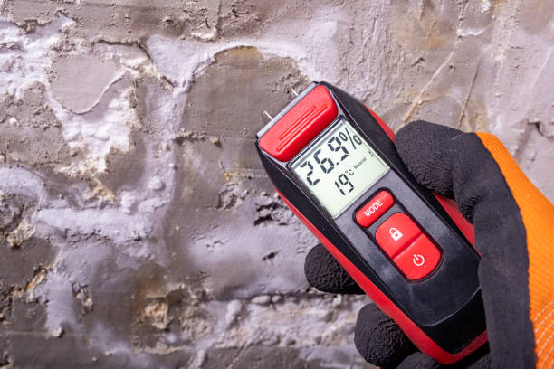Best Preventive Mold Services in Hearne, TX