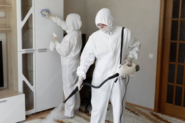 Best Industrial Mold Remediation in Hearne, TX