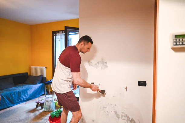 Best Attic Mold Remediation in Hearne, TX